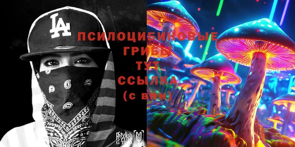 стафф Алексин